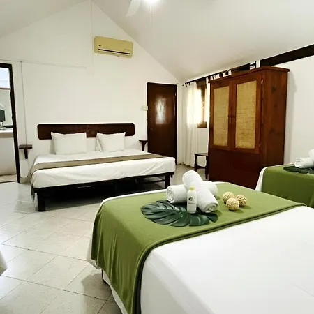 Hotel B&B - Playa Del Carmen-2